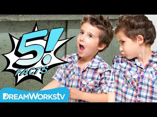 5 Facts About TWINS That Will Make You Do A Double Take | 5 FACTS