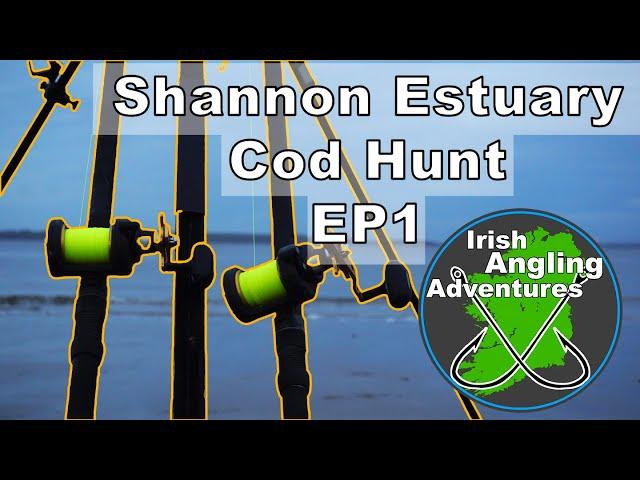 Shannon Estuary - Cod Hunt - EP1