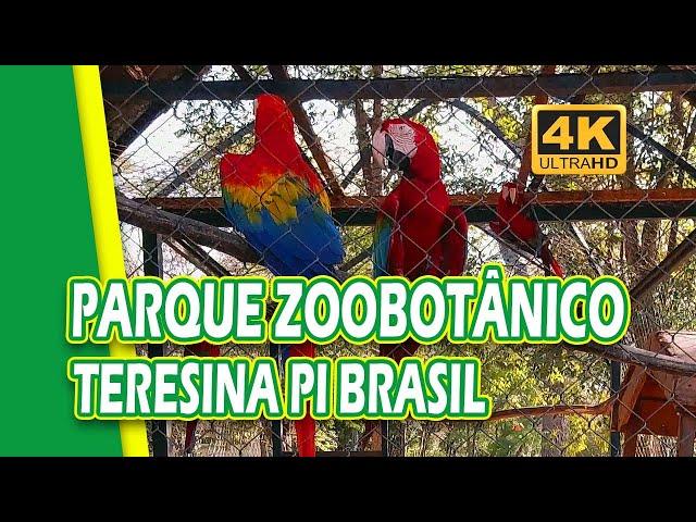 PARQUE ZOOBOTÂNICO DE TERESINA PIAUÍ BRASIL | TERESINA ZOO 4K