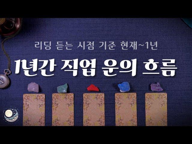 [타로] 1년간 직업 직장 운의 흐름