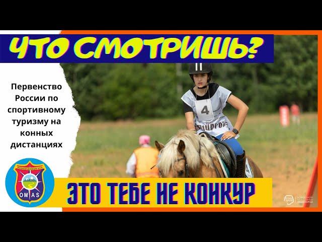 Спортивный туризм - конные дистанции. Первенство России. День 3. Короткая дистанция. Верховая езда