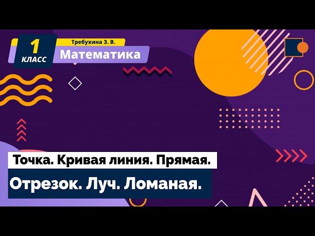 Математика. Точка. Кривая линия. Прямая. Отрезок. Луч. Ломаная.