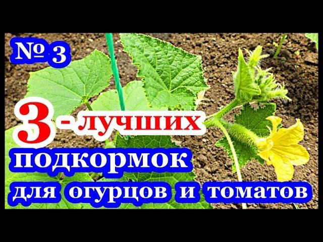 █ 3 ЛУЧШИХ ПОДКОРМОК ДЛЯ ОГУРЦОВ ТОМАТОВ и... ч.3 // Удобрение СВОИМИ РУКАМИ