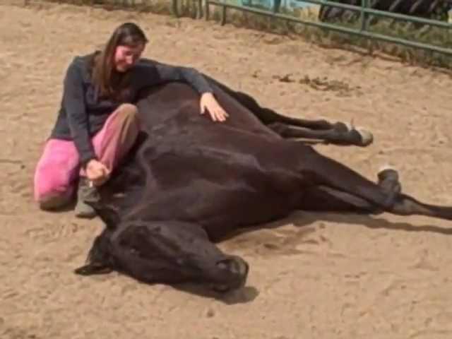 Day 10  A Quantum Leap of Trust: Napping with Galaxy!