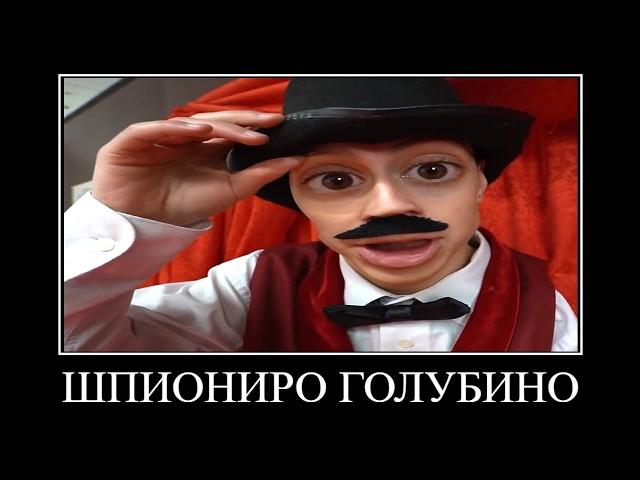 20 МИНУТ РЖАКИ от А4  ПОПРОБУЙ НЕ ЗАСМЕЯТЬСЯ