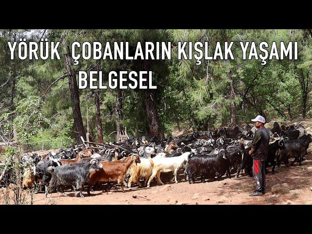 Yörük Tekin'in  Kışlak Yurdunda Zorlu Yaşamı I Belgesel