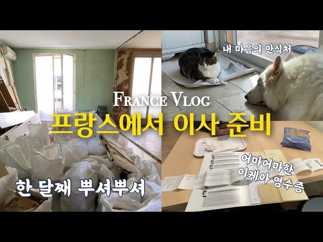 VLOGㅣ프랑스 이케아 주방은 얼마? 17평 아파트 인테리어 기간이 3달?? 자재도 직접 갖다 날라줘야하는 어메이징 프랑스 일상