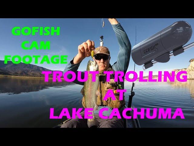 TROLLING FOR TROUT AT LAKE CACHUMA - INSANE UNDERWATER FOOTAGE