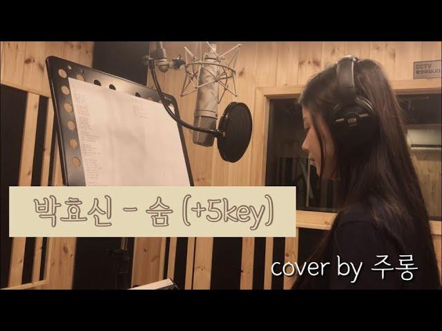 박효신 - 숨 ( Breath ) +5key [COVER BY 주롱(Jurong)]