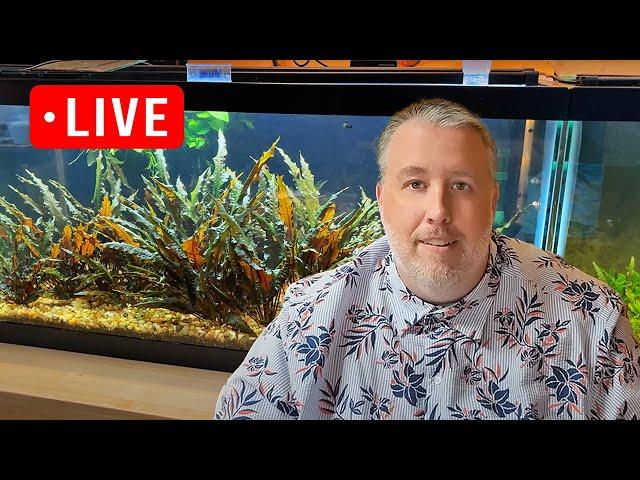 Exciting Aquarium Merch Reveal!  New Gear for Fish Keepers - Episode 306