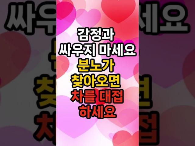감정과 싸우지 마세요. 분노가 찾아오면 차를 대접하세요 #삶의지혜 #행복한노후 #100세시대
