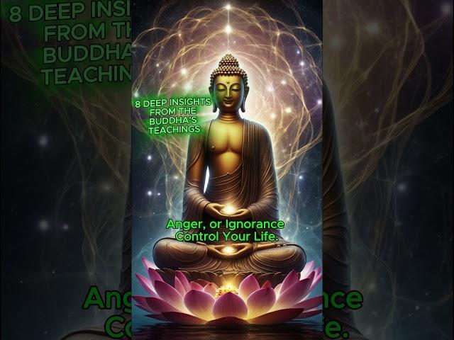 8 DEEP INSIGHTS FROM THE BUDDHA'S TEACHINGS
