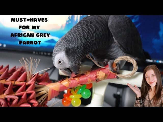 Must Haves to take care African Grey Parrot