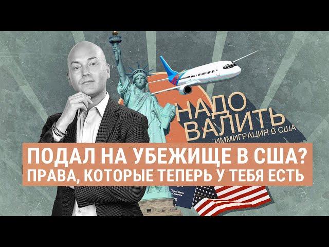 Политубежище в США: ошибки, которые нельзя совершать / советы адвоката / иммиграция в Америку