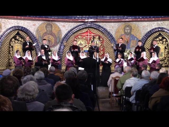 Плотию уснув - Степан Людкевич ,соло Витушко Владислав