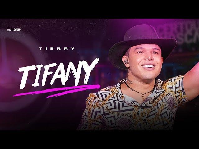 Tierry - TIFANY - DVD Acertou Na Mosca