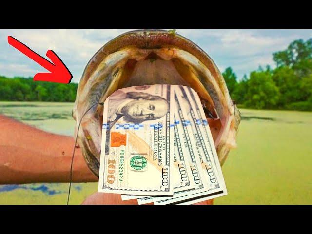 10 LEGIT Ways To Make MONEY Fishing ($$$)