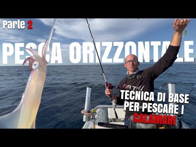 Tecnica di base per pescare i calamari - La Pesca Orizzontale