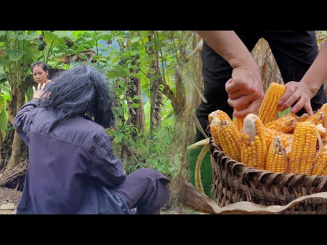 After the meeting: The strange man acted badly while the girl was harvesting corn.