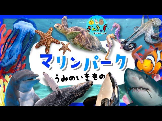 【海の生き物 集合！】マリンパークへ行こう！水族館で人気のうみのいきものやお魚さんたちが大集合◎イルカ サメ クジラなど20種が登場するよ【子供向け水族館アニメ】