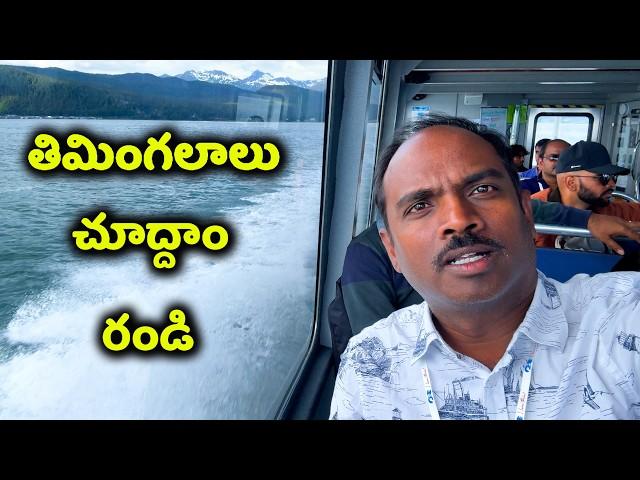 What is The BEST Way to See Whales in Alaska?  (America Telugu Travel Vlogs) Must See Tourist Spot