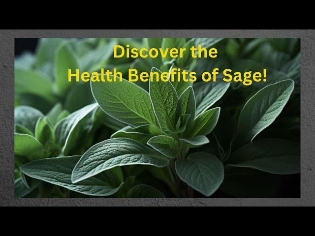 Unlock the Health Benefits of Sage: A Comprehensive Guide