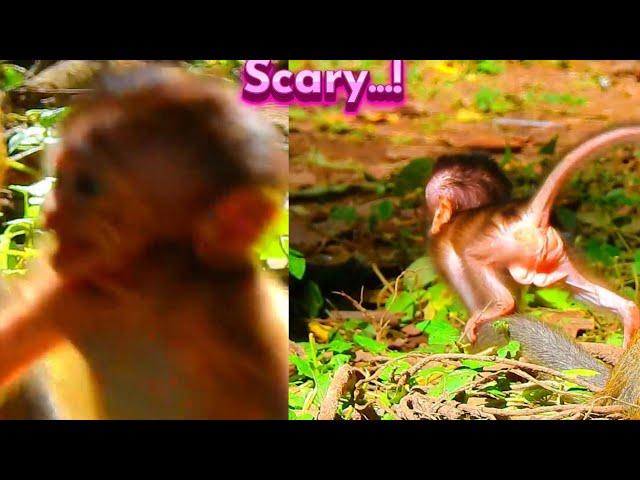 What's Newborn, Draya Scared? So Sad Face...! Primate Kh