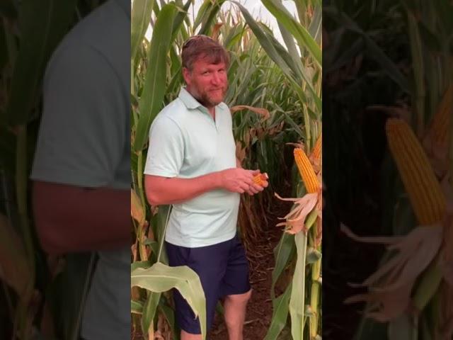 AgXplore’s Billy Carter with @nationalcorngrowers Finalist Josh Watson