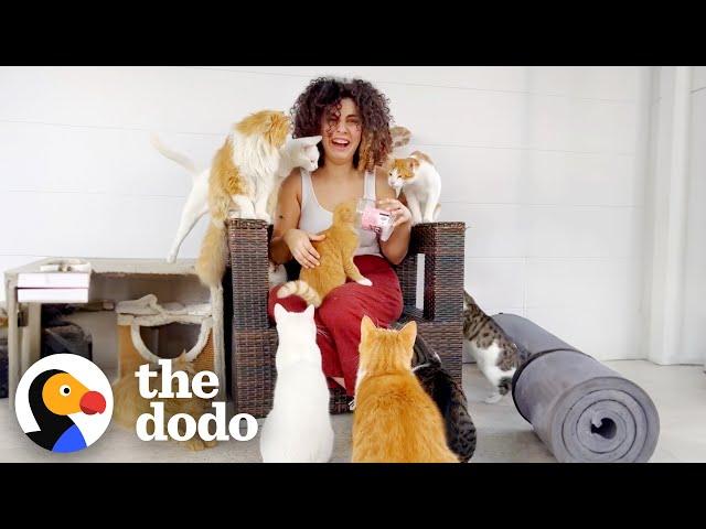 This Woman Rescued Over 200+ Stray Animals | The Dodo