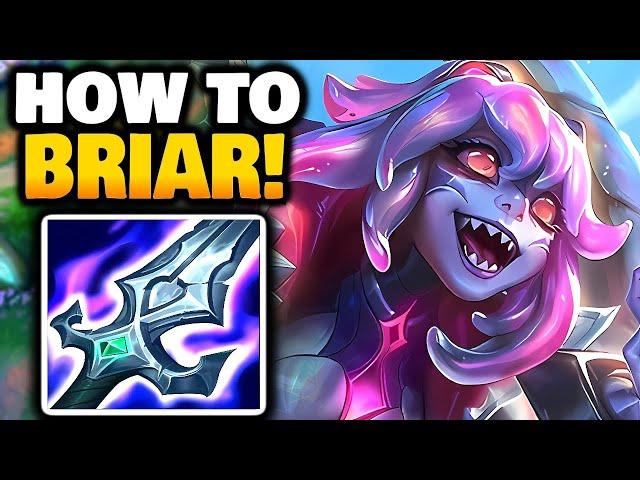 BRIAR Jungle how to CARRY | Season 14.14