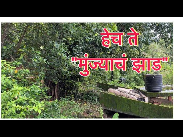 हेच ते मुंज्याचं झाड || True story || आई ft. मुंबई २०२४ ||