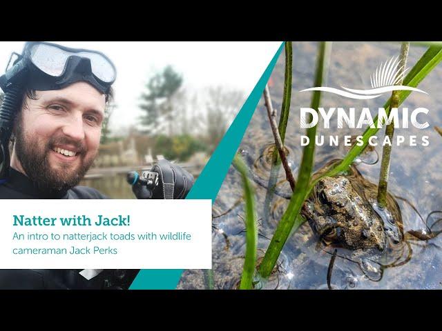 Natter with Jack: Natterjack Toads with Wildlife Cameraman Jack Perks