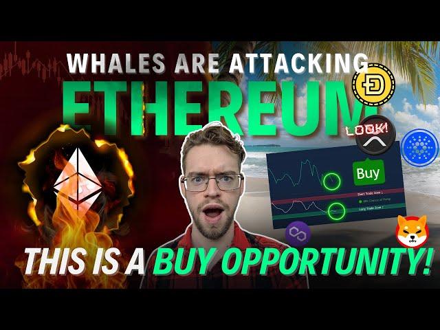 Whales Attempt To SCARE Ethereum Retailers! (We Are BUYING!)