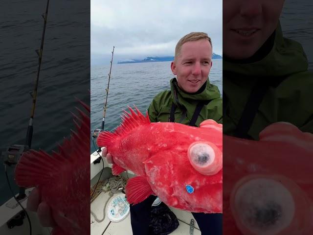 Глубоководная Рыбалка Камчатка. Морской окунь #fishing #рыбалка #камчатка #путешествия