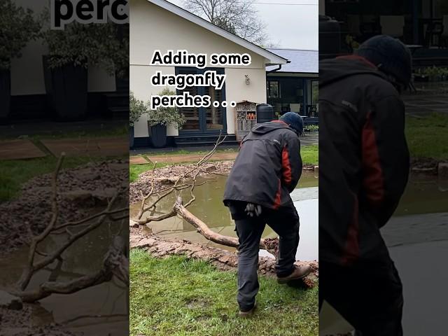 Finishing the Wildlife Pond