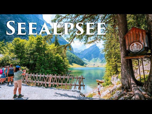 Seealpsee, Switzerland 4K - Amazing Beautiful Nature Scenery For Relaxation, Heaven on Earth