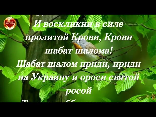 Украина ! Шаббат потрясения 2013 год, год начавшегося майдана  ! Пророческие стихи исполнились !