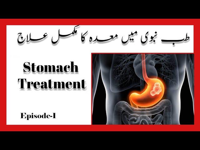 Maidy Ka Ilaaj Tib-e-Nabvi Main | Episode 1|  Treatment Of Stomach..