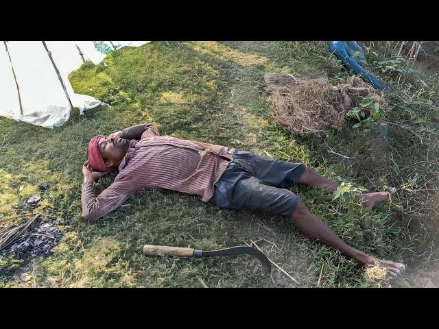 ঘাঘুলোকের কি হইছে | Village life Vlog