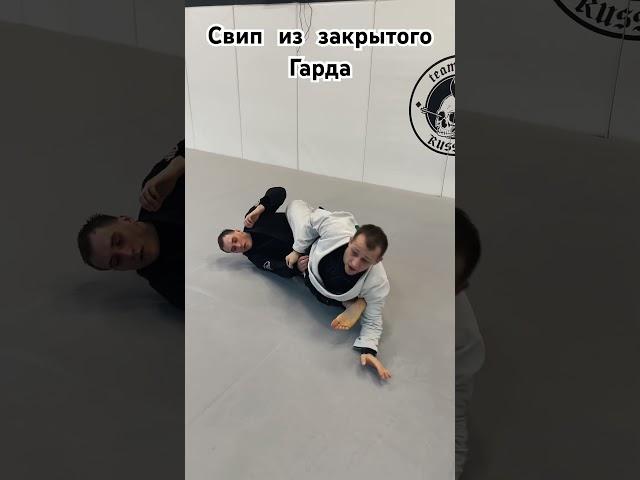 Белый пояс должен знать этот свип!#бжж #джиуджитсу #bjj #jiujitsu