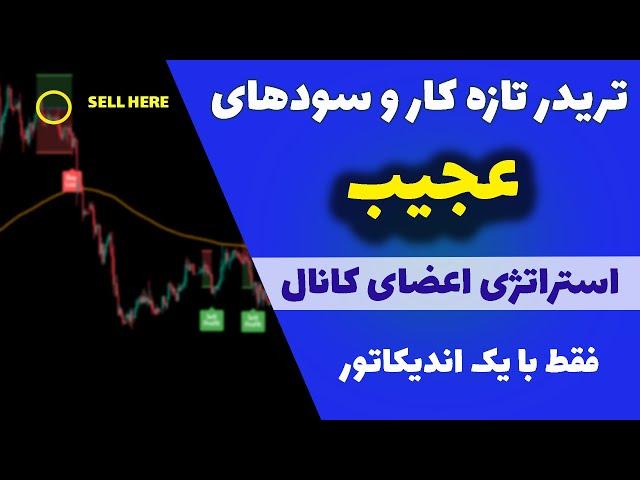 استراتژی ساده و سودآور تریدر تازه کار(41)| چهار برابر کردن سرمایه در مدت کوتاه با یک اندیکاتور