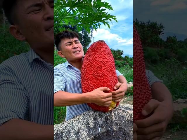 Enjoying beautiful nature life #shorts #ytshorts #nature #fruit