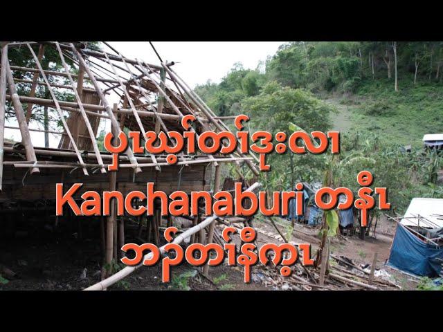 ပှၤဃ့ၢ်တၢ်ဒုးလၢ Kanchanaburi တနီၤဘၣ်တၢ်နီက့ၤ 30/5/2024