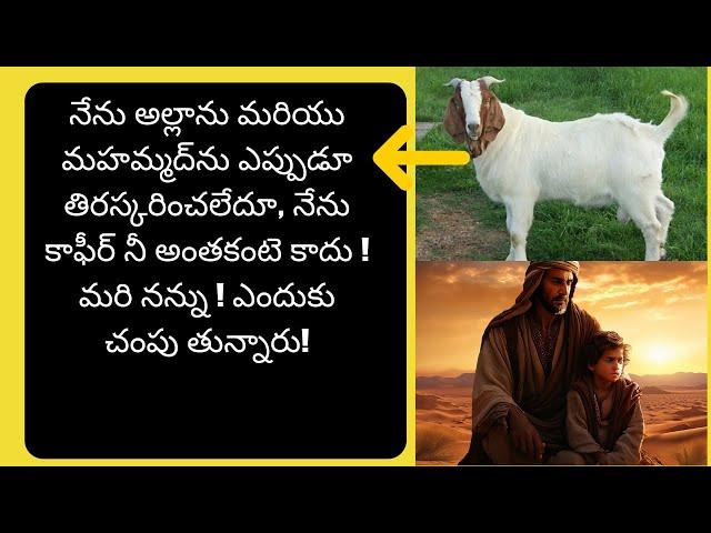 బక్రీద్ విశిష్ట జంతు బాలి ! #BAKRID #ZILHAJJ #ISLAM