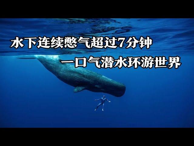 水下连续憋气超过7分钟，一口气潜水环游世界