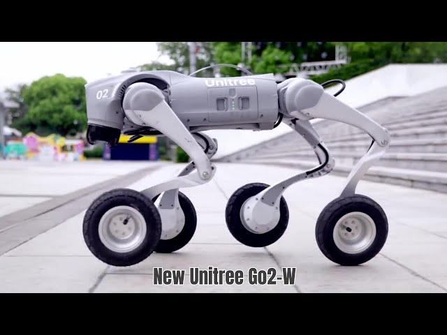 China’s Wheeled Robot Dog Uses Tires to Thrive on Tough Terrain | New Unitree Go2-W