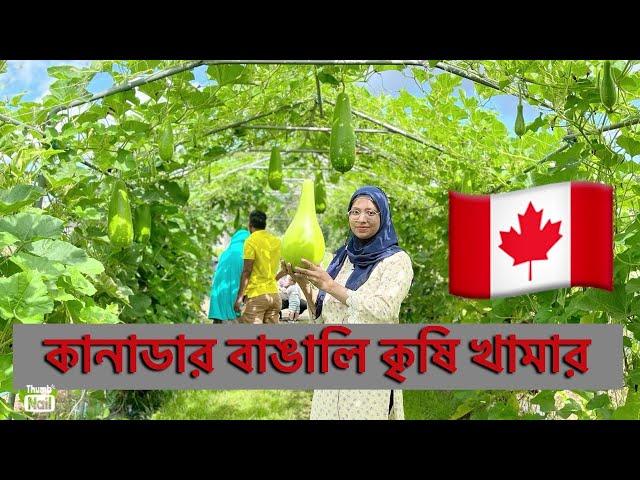 Bangladeshi agricultural farms in Canada, Quebec province at Mirabel. বাংলাদেশী কৃষি খামার কানাডাতে