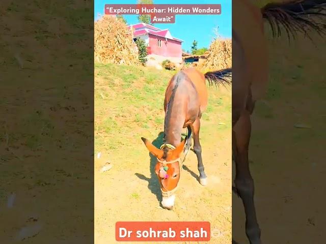 ️"Exploring Huchar: Hidden Wonders Await"️