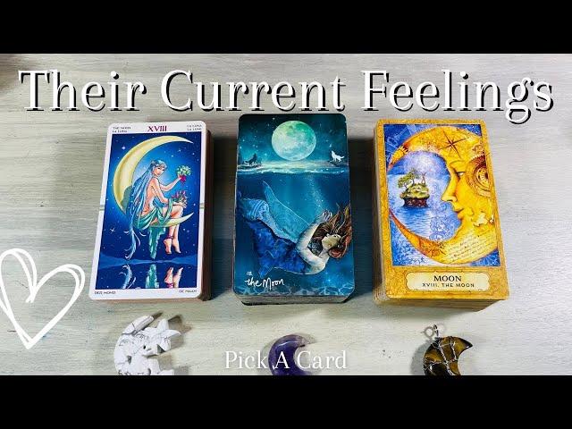 ️‍ Their current feelings for you! PICK A CARD + channeled messages (Timeless) Love Tarot Reading