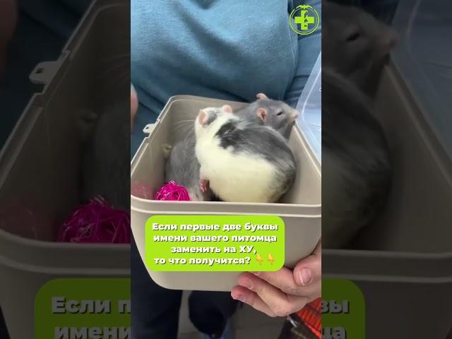 Что получилось